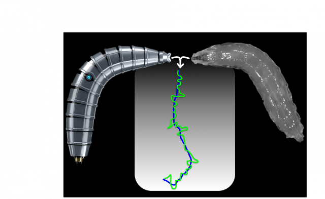 Measuring, modeling and reengineering navigational behavior