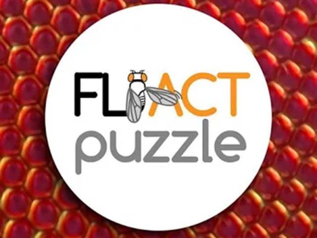 CRG FLiACT Puzzle (2015)