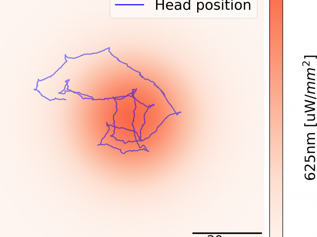 Virtual Reality for Small Animals