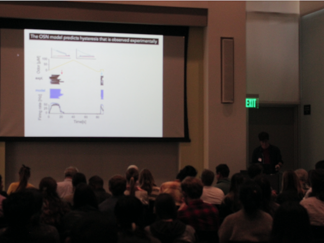 Short talk by Dr. Louis